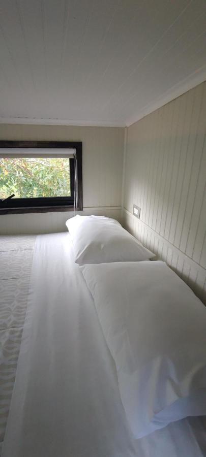 Cabanas Alto Bosque Pucón Εξωτερικό φωτογραφία